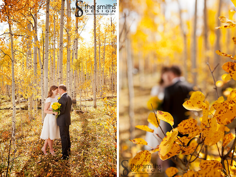 Wedding Photographers in Carbondale CO