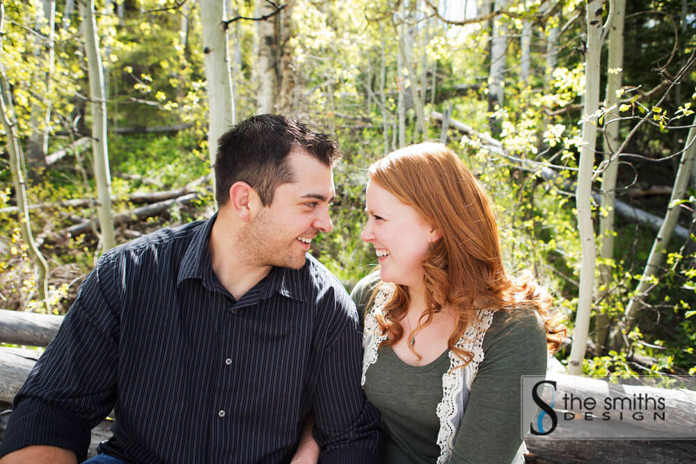 Engagements in the Aspens
