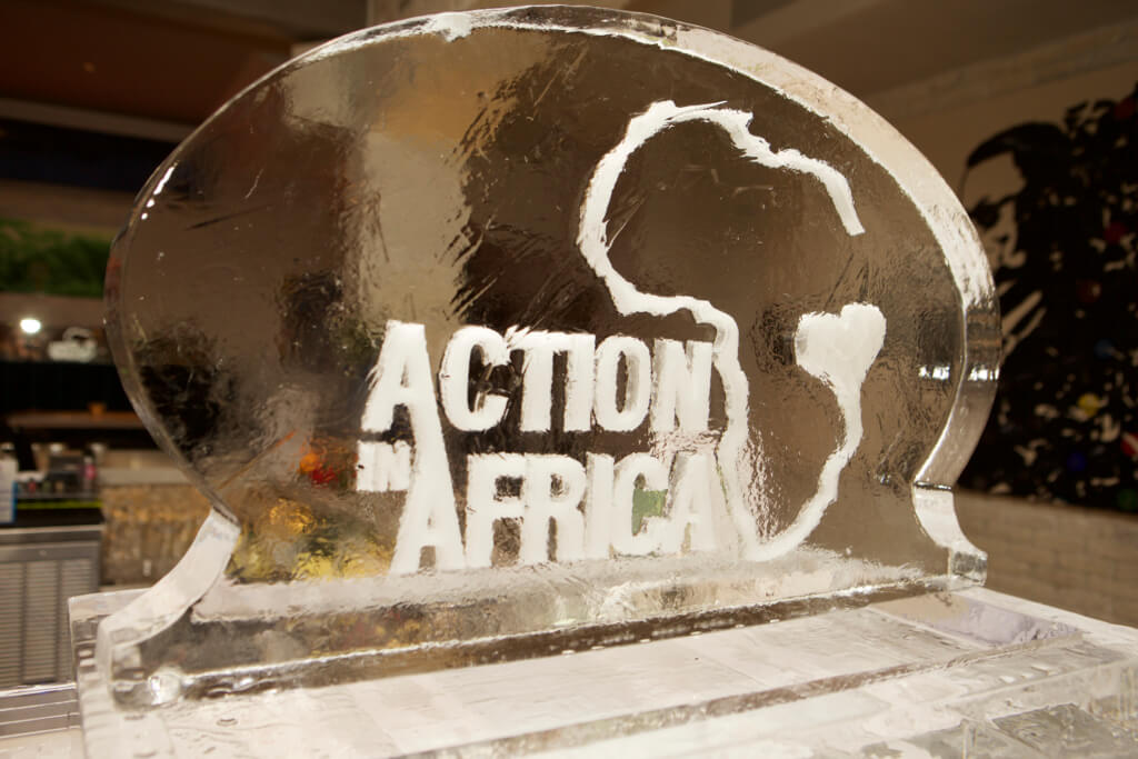 Action in Africa Holiday Fundraiser