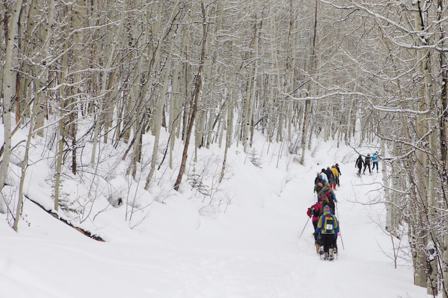 Glenwood Springs Event Photographer Colorado Animal Rescue Snowshoe Shuffle WindFirm Photography