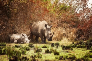 17190808_10154488694657852_3136723851465003819_n