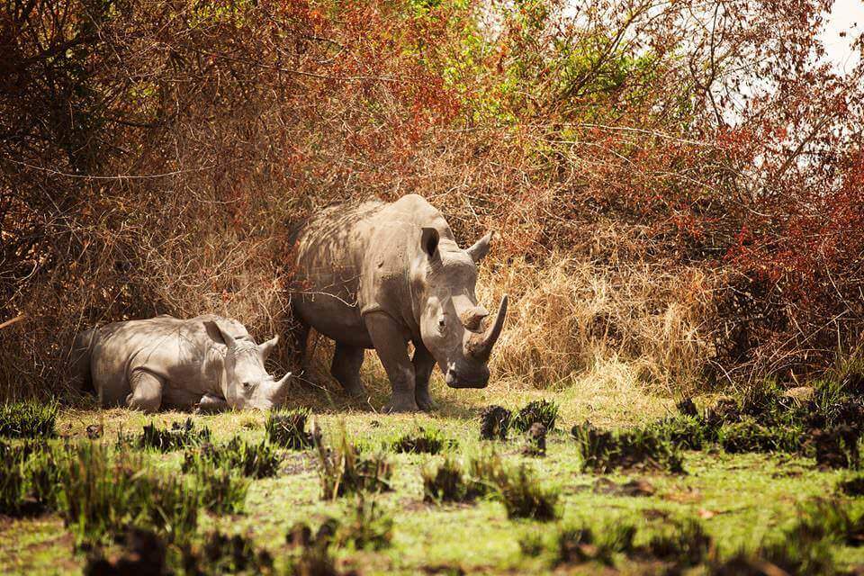 17190808_10154488694657852_3136723851465003819_n