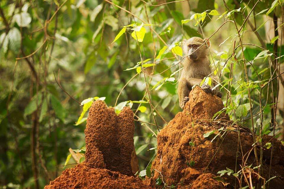 17202660_10154488846772852_4571584744232039145_n