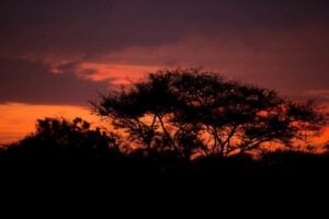 17264250_10154510582207852_80147762843341431_n