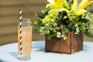 Photos of Aspen Food and Wine | Windfirm Photography