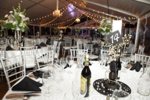 Carbondale Event Photographers | Windfirm Photography