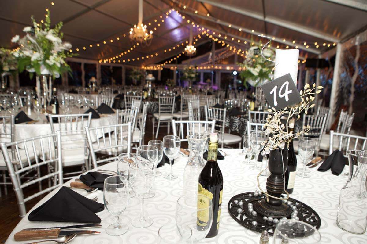 Carbondale Event Photographers | Windfirm Photography